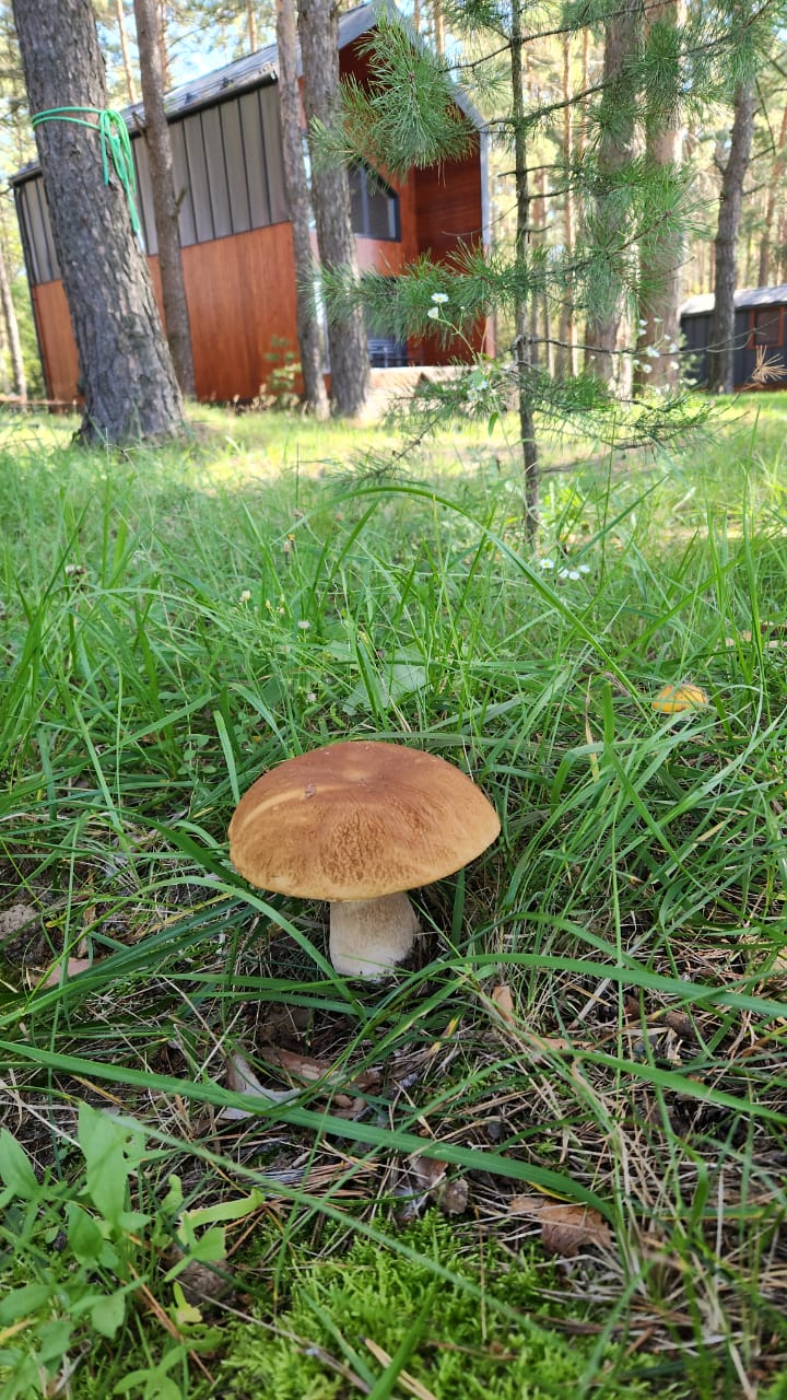 Фото гостей